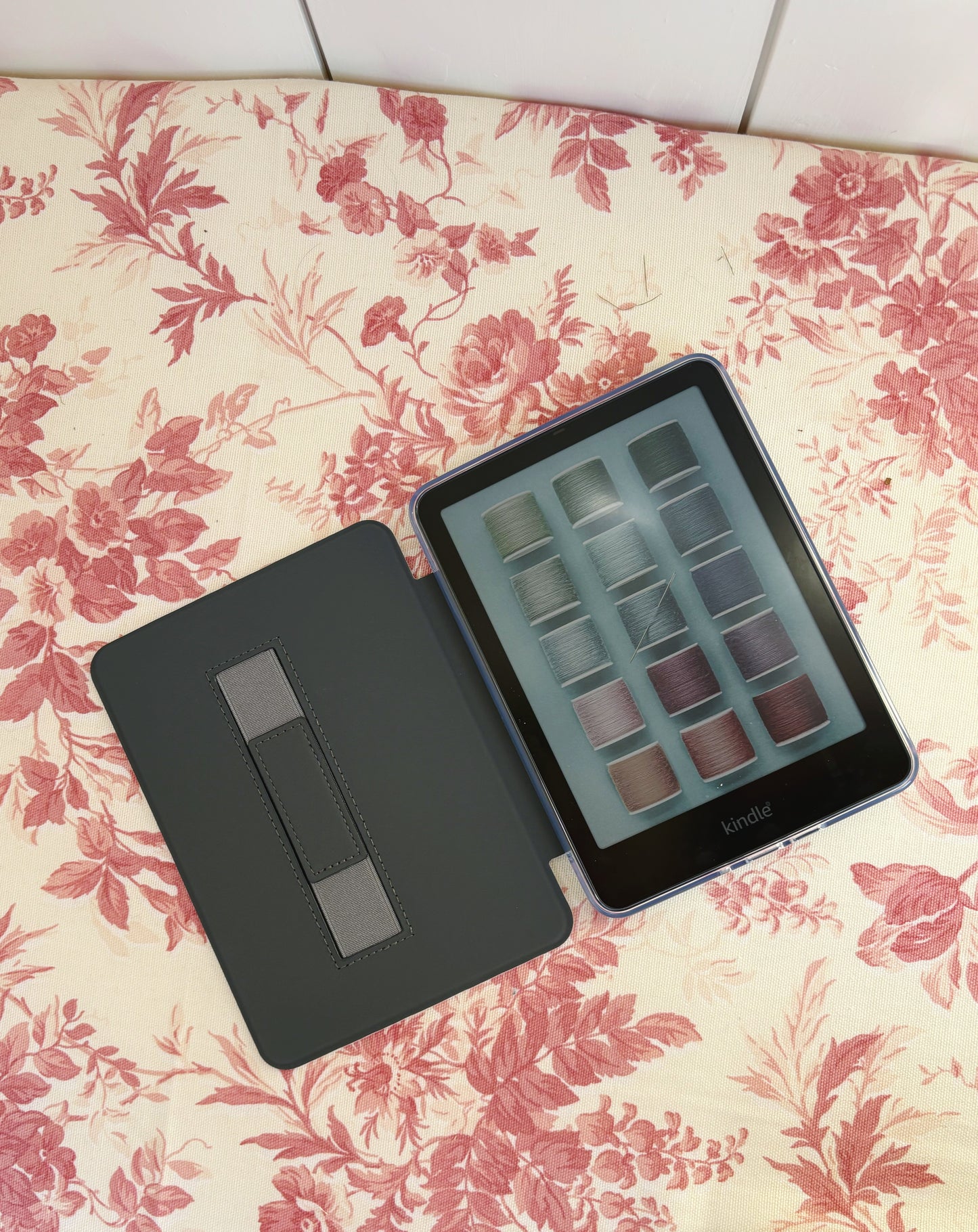 She Reads Kindle Case