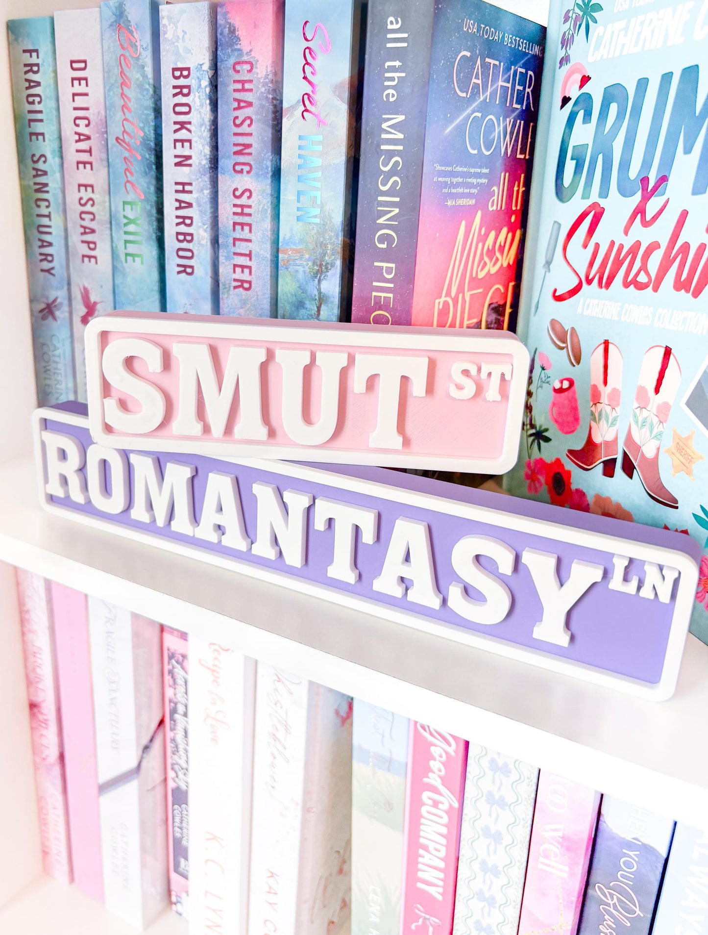 Romantasy Bookshelf Sign