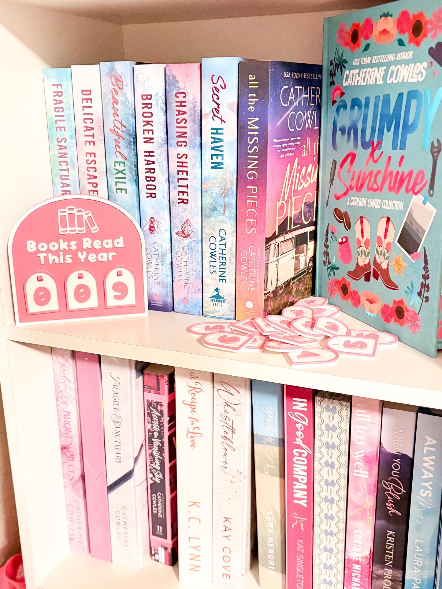 Books I Read Bookshelf sign