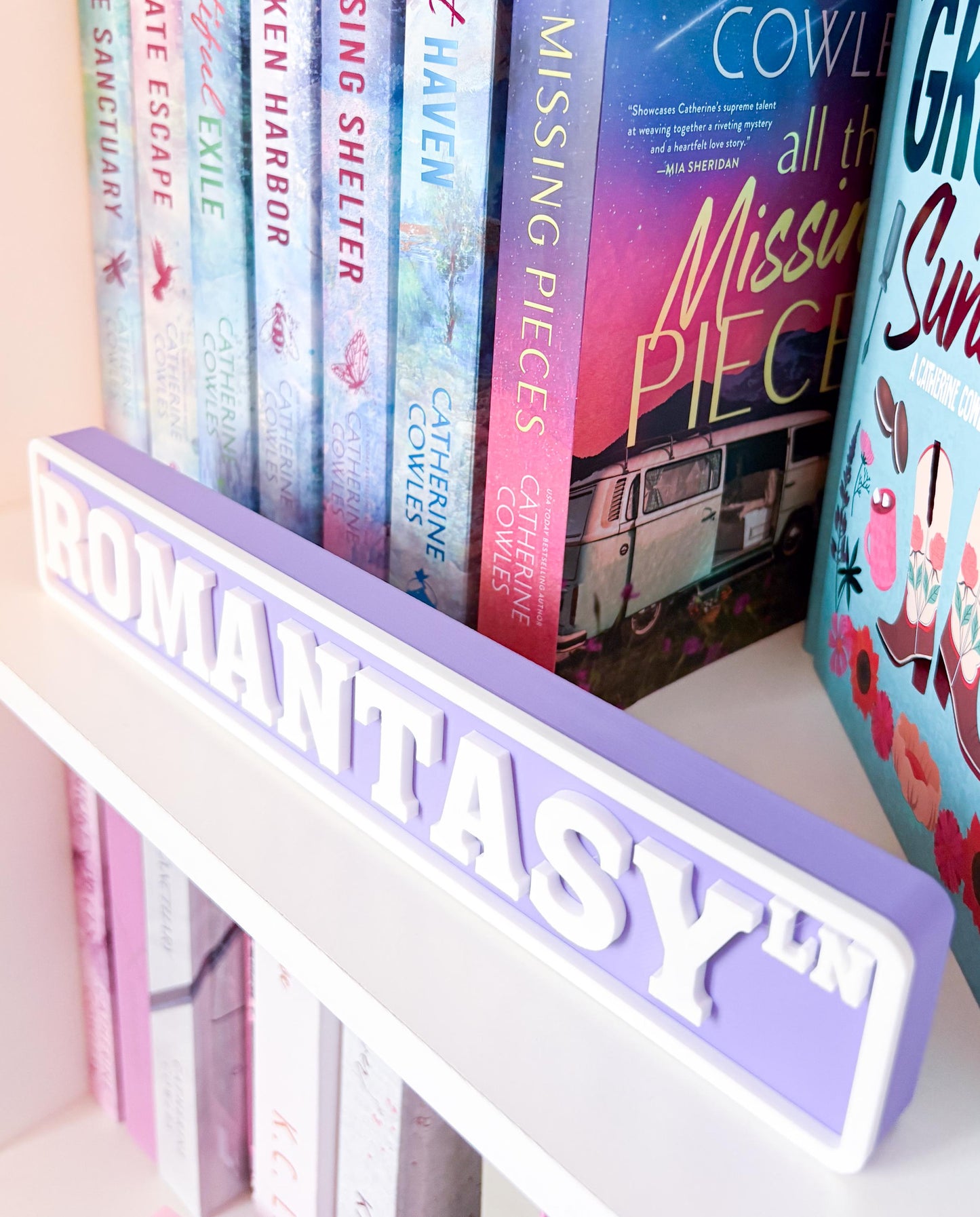 Romantasy Bookshelf Sign